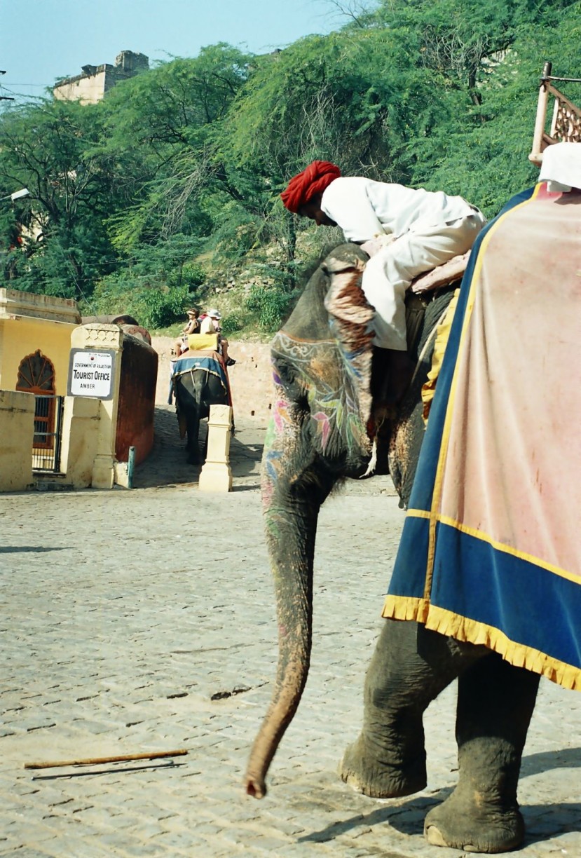 jaipur- india