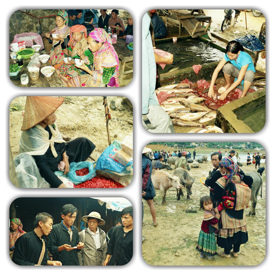 sapa- vietnam