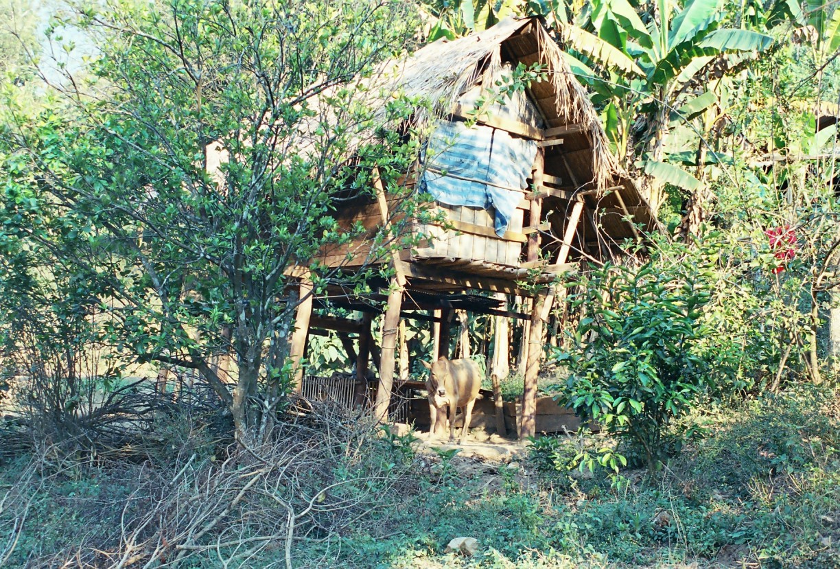 chiang mai