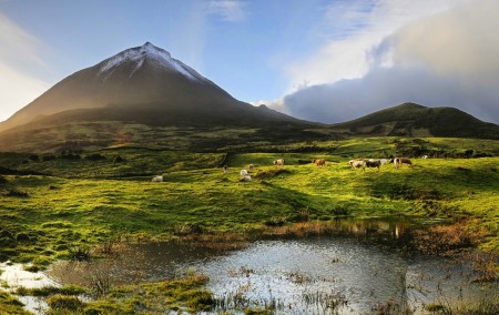 Açores