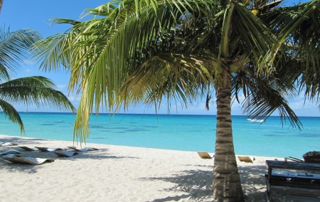 CARAIBAS