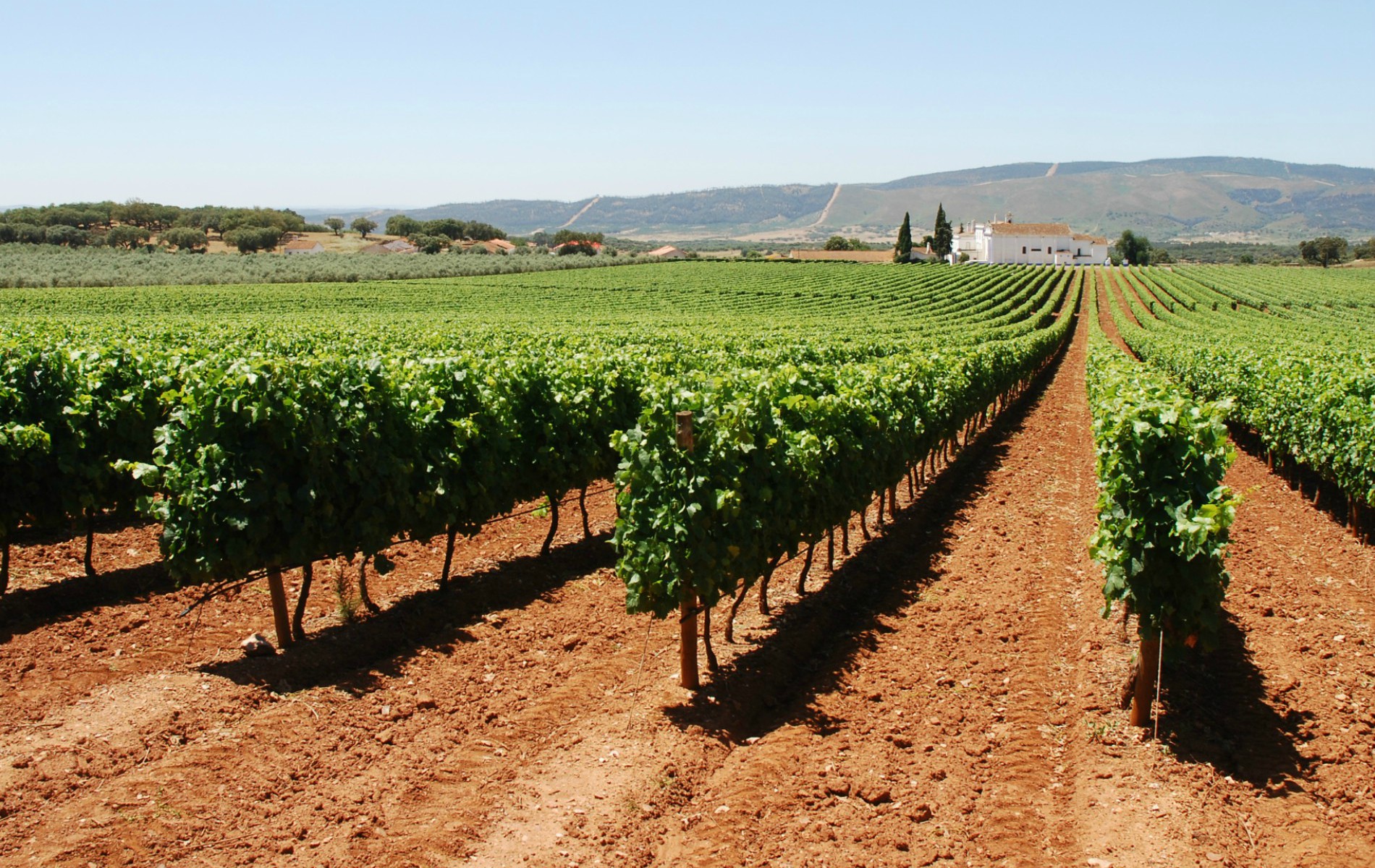 Alentejo- Portugal