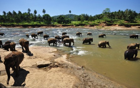 Sri Lanka