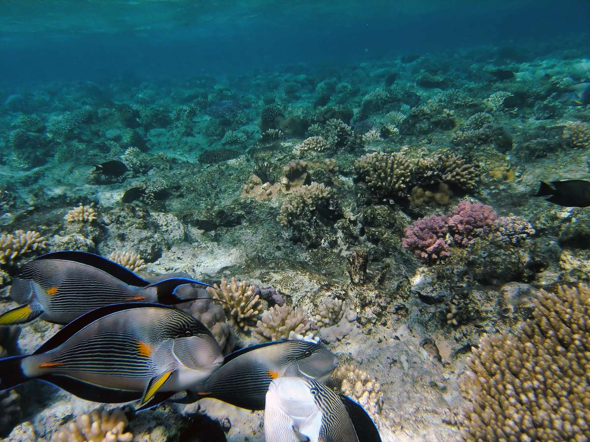 Hurghada