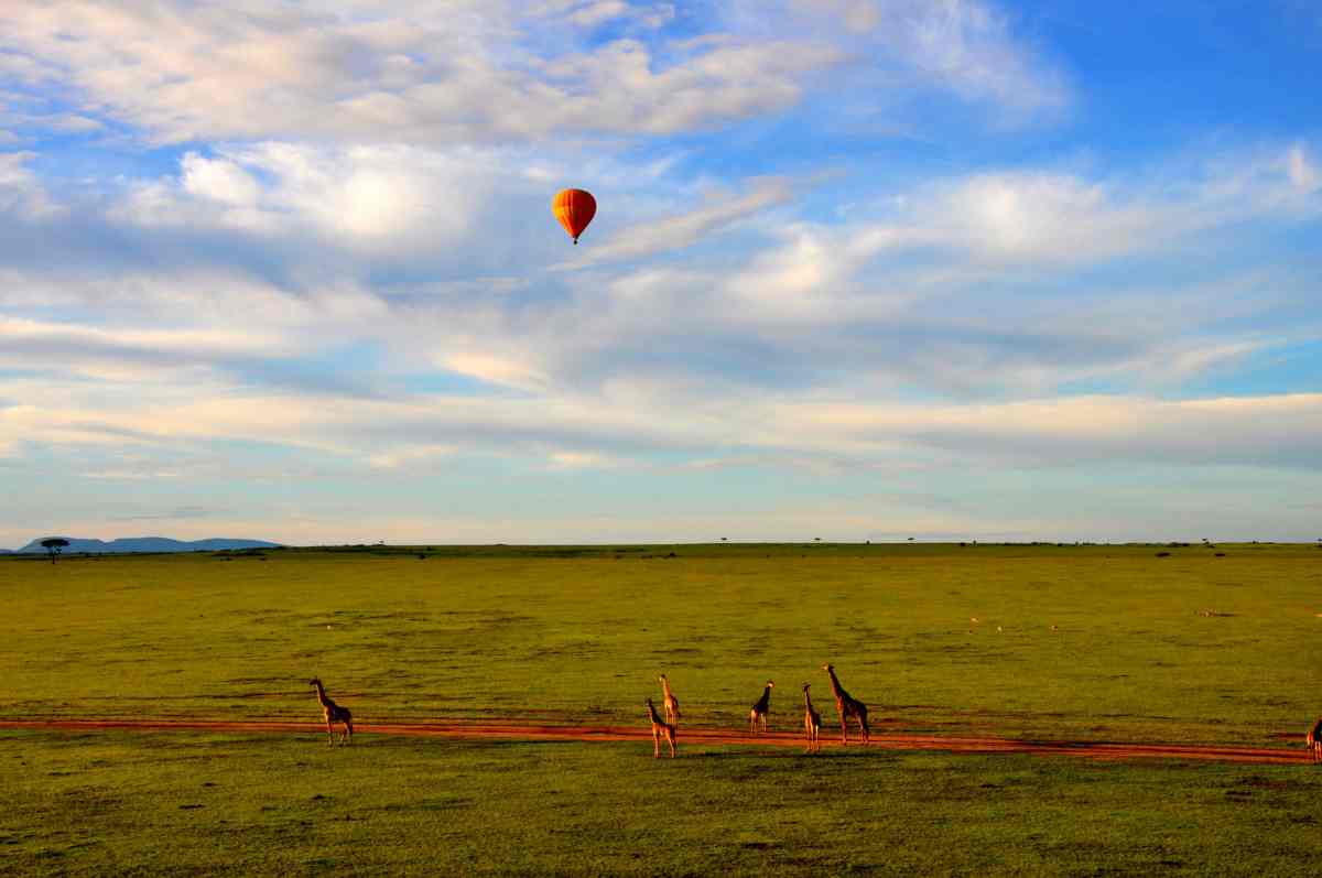Safari no Masai Mara