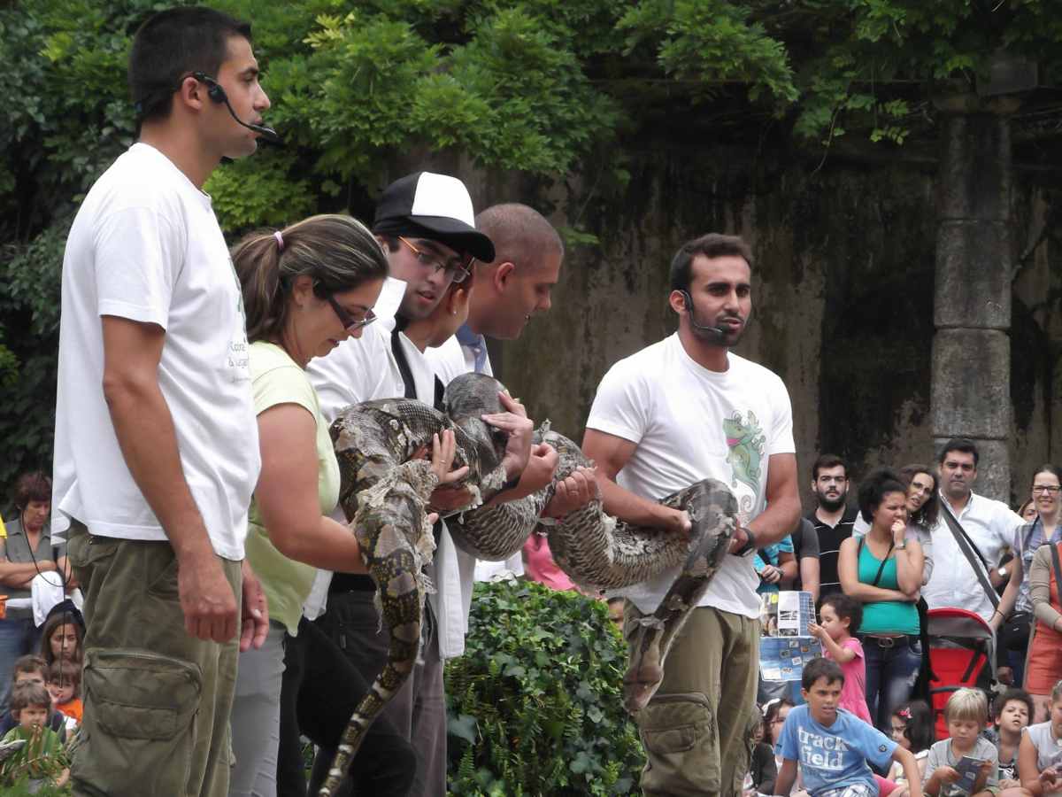 Apresentação de Répteis do Zoo