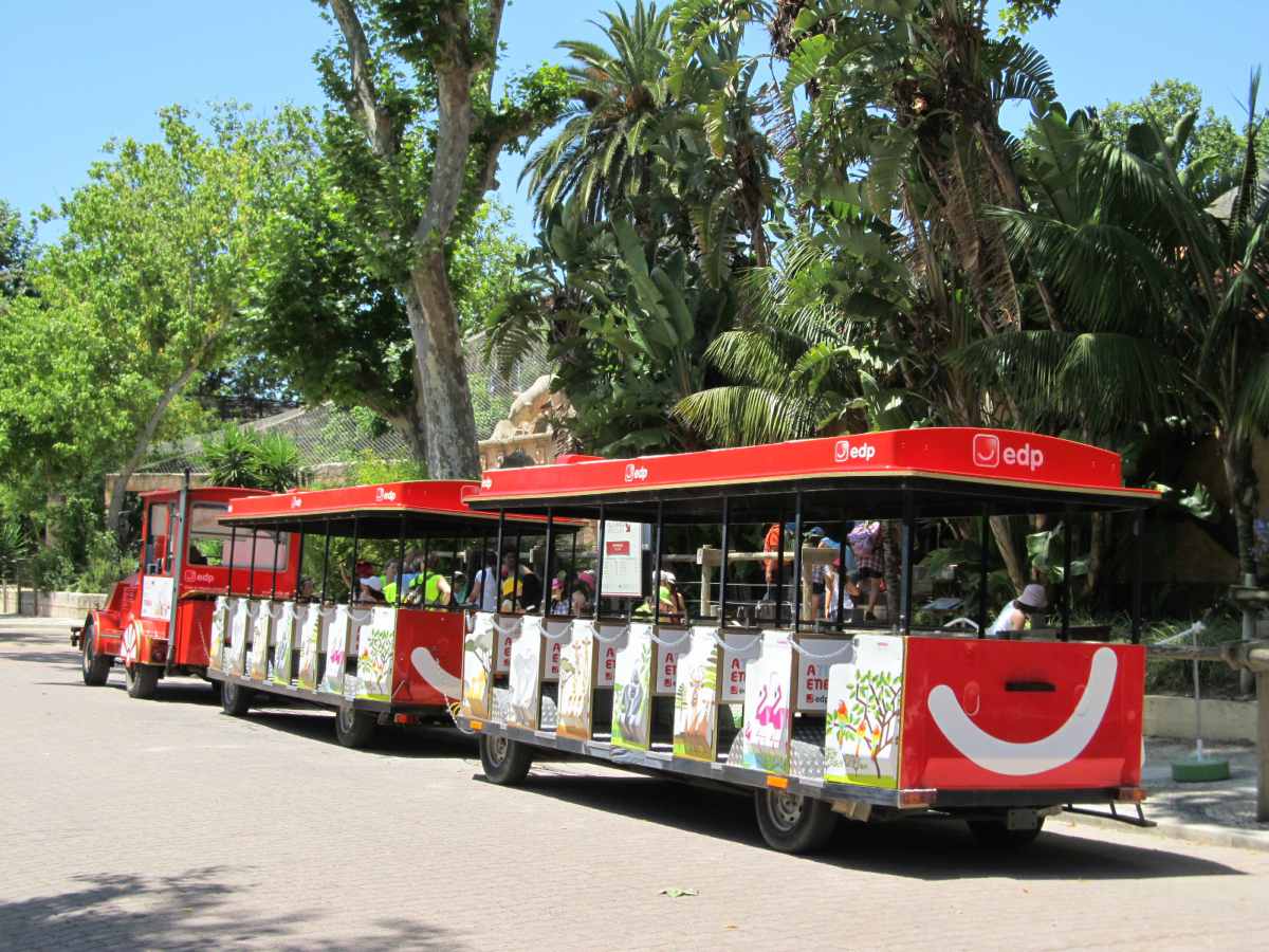 Comboio Zoo Lisboa