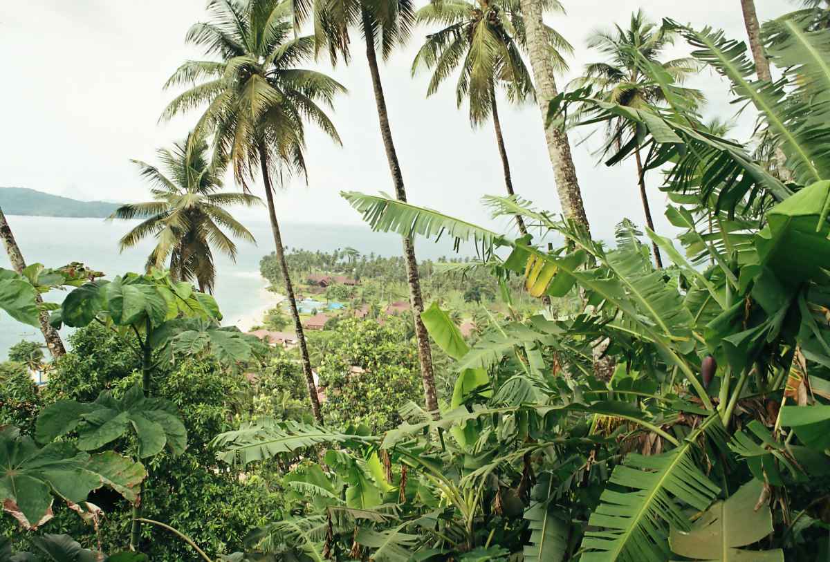 Ilhéu de Rolas