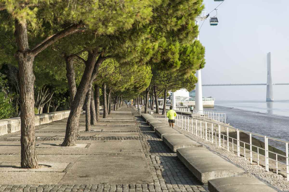 Passeio ribeirinho