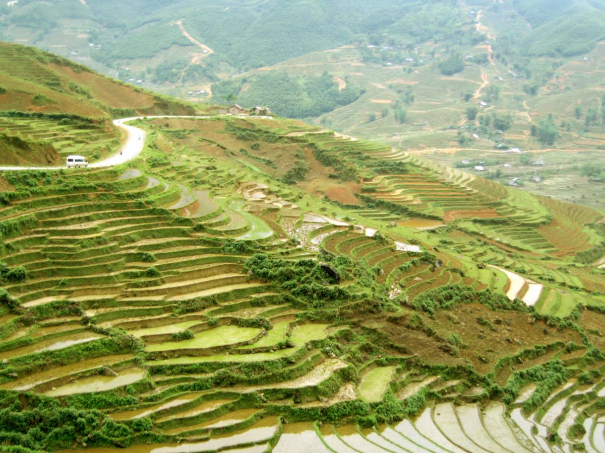 Sapa