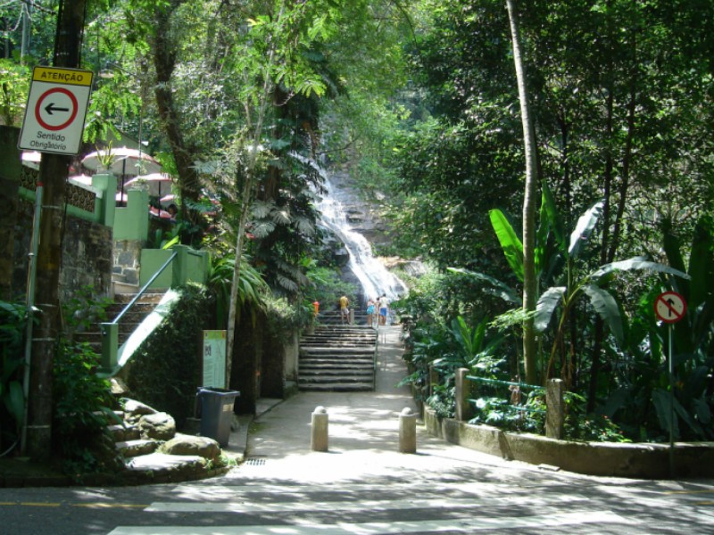 Floresta da Tijuca