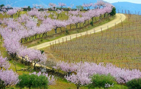 Trás-os-Montes- Portugal