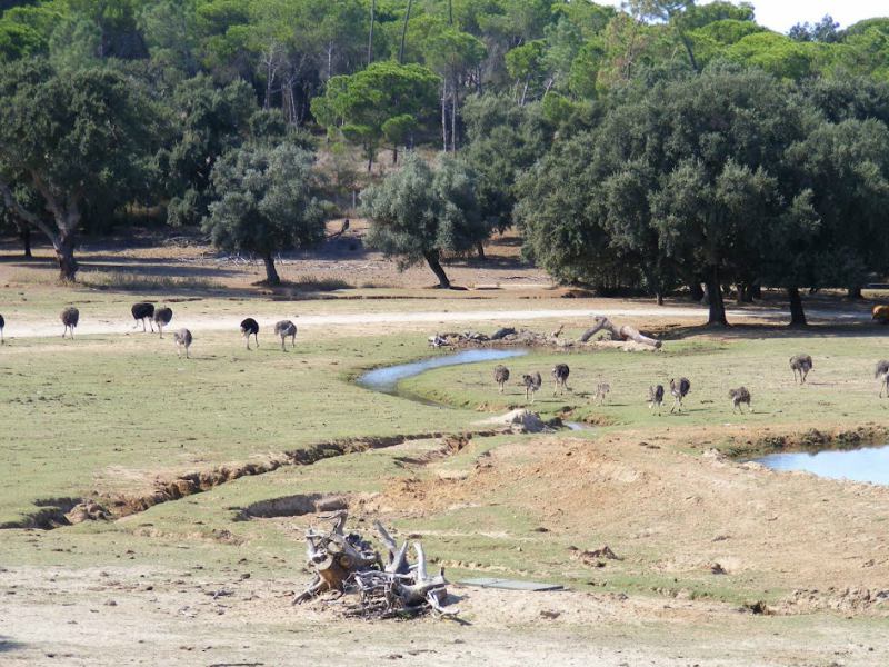 Alentejo- Portugal