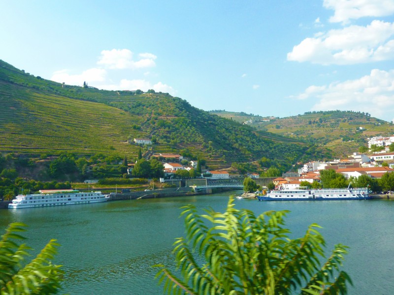 Douro- Portugal