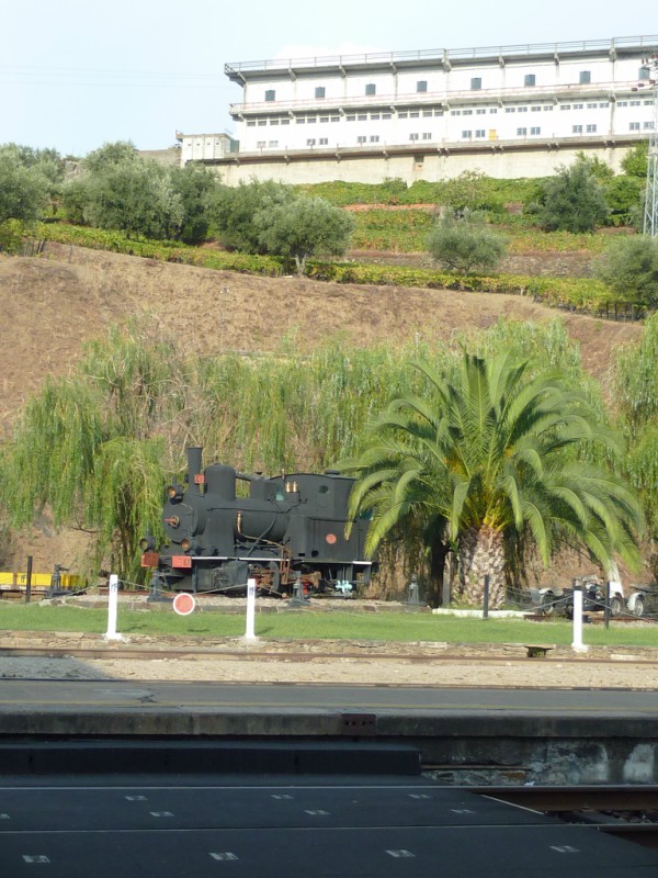 Douro- Portugal
