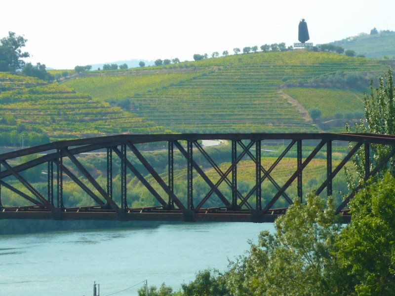 Douro- Portugal