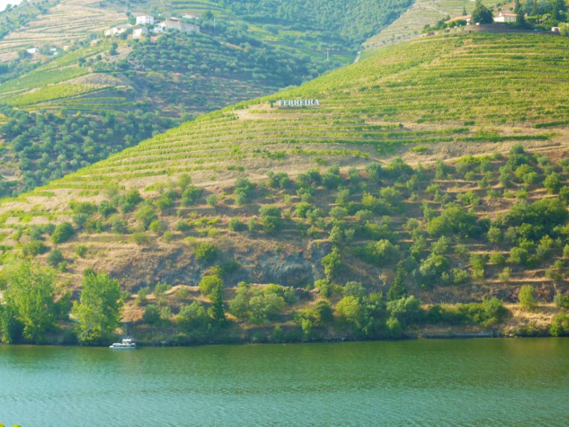 Douro-Portugal