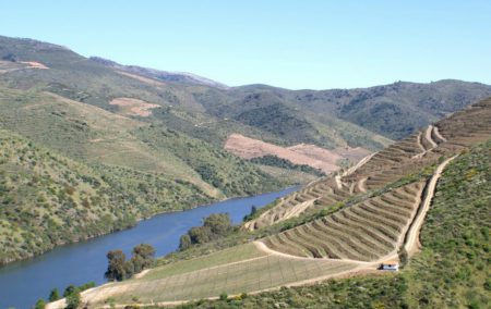 Douro- Portugal
