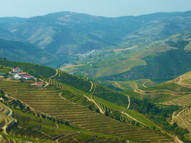 Douro- Portugal