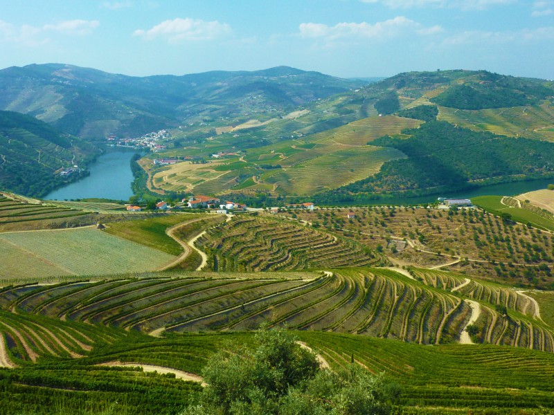 Douro- Portugal
