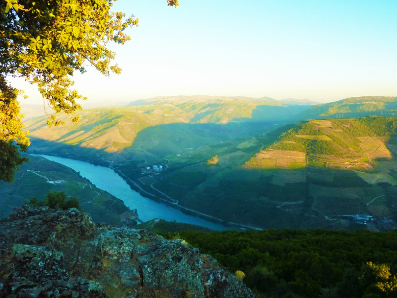 Douro- Portugal