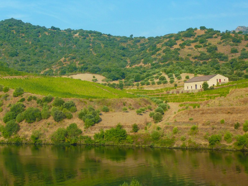 Douro- Portugal