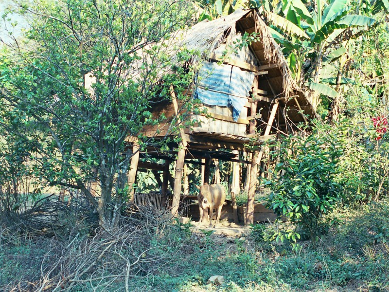 Chiang Mai