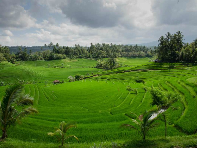 Bali