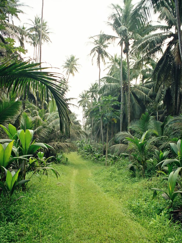 Interior da Ilha de São Tomé