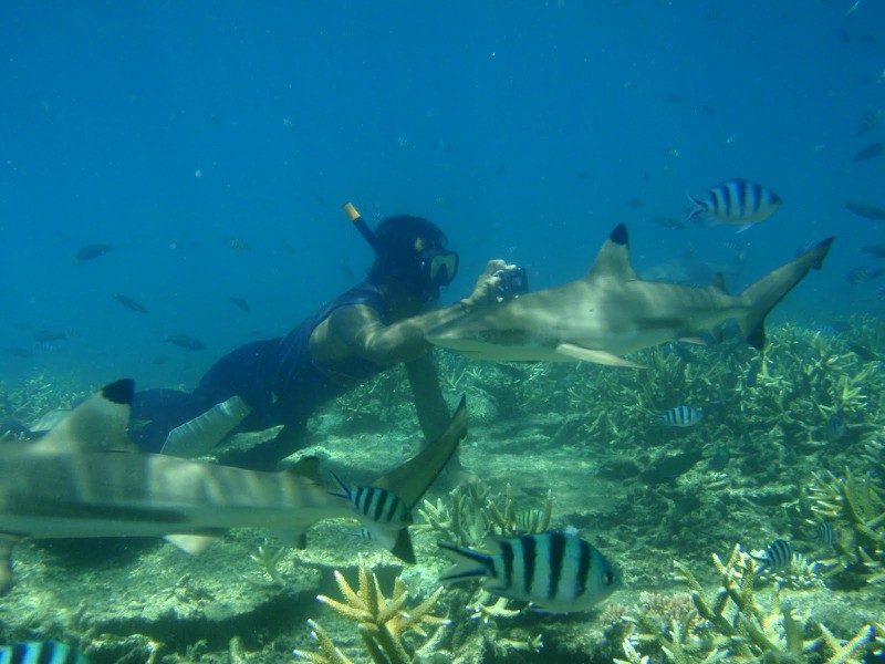 Mergulho nas Ilhas Perhentian - Malásia