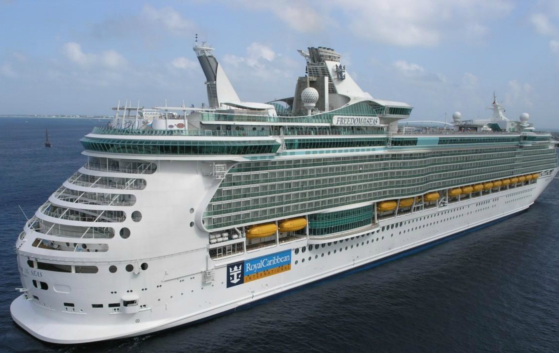 Cruise