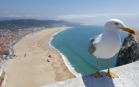 Fim-de-semana em Portugal
