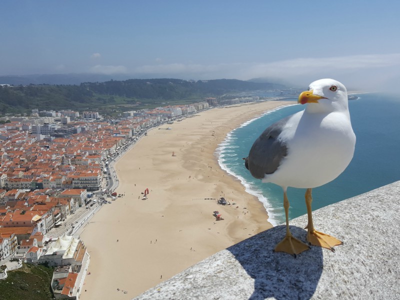 Portugal