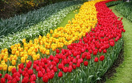 Holanda