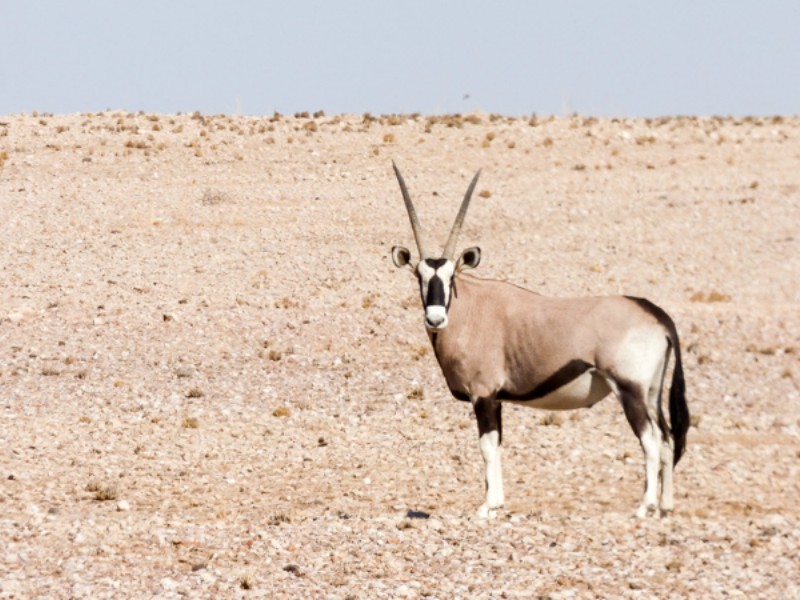 Namibia