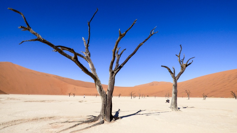 Deserto da Namibia