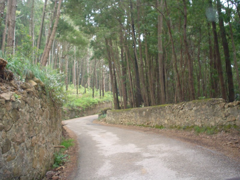 Parque Natural de Portugal