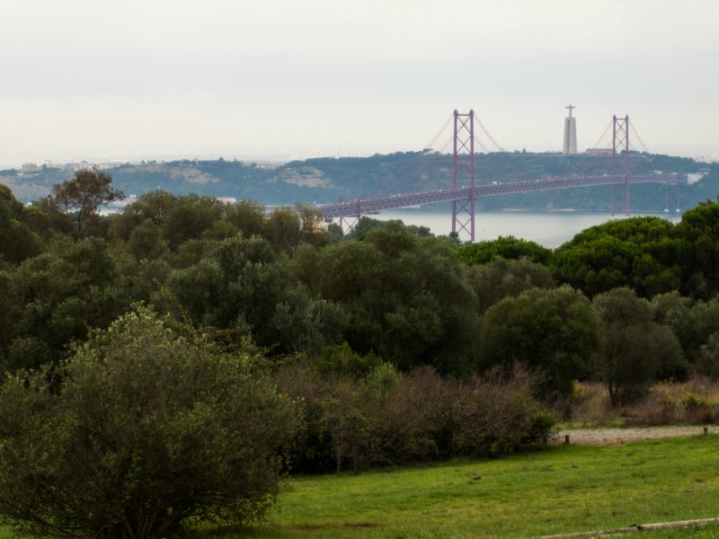 Parque Natural de Portugal