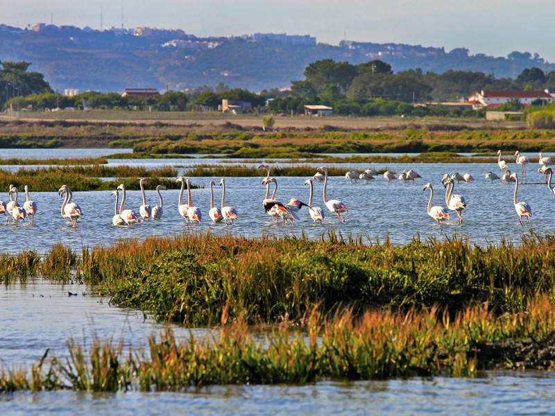 Parque Natural de Portugal