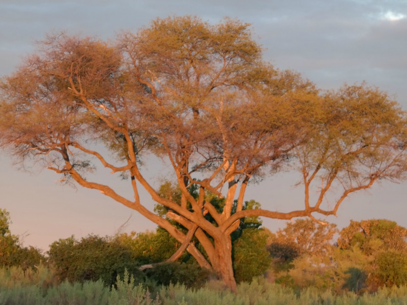 Amantes de Viagens