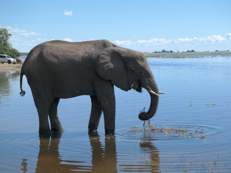 Botswana