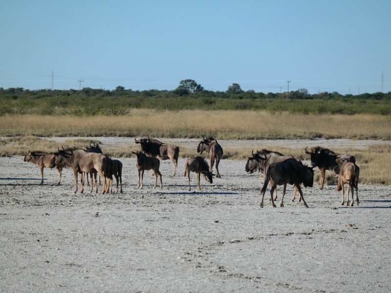 Botswana