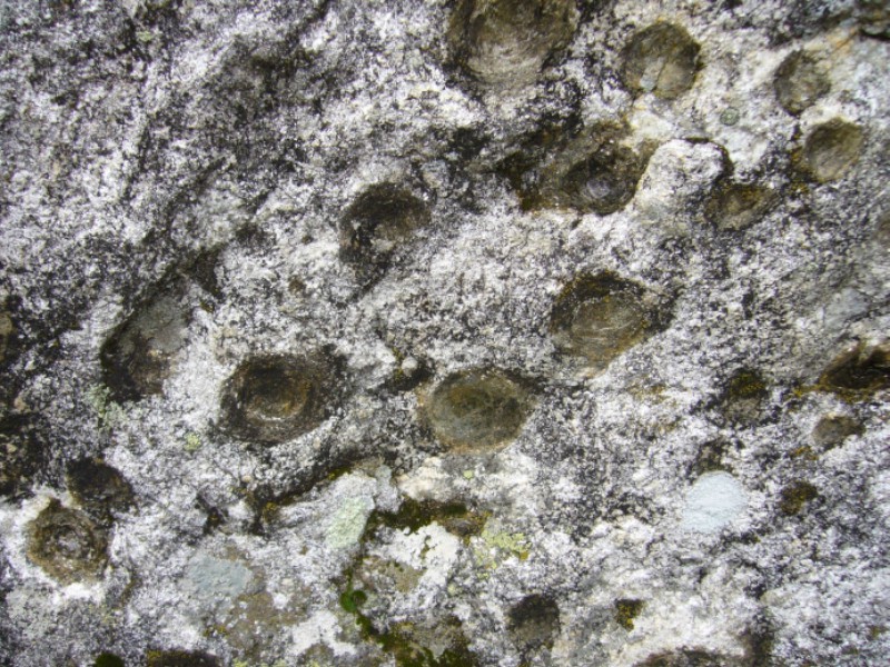 Arouca Geopark- Arouca Geoparque