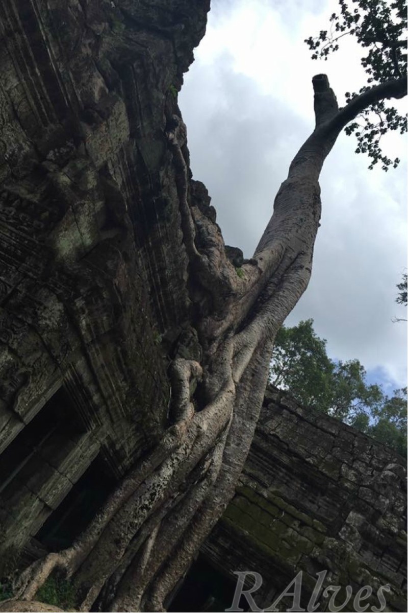 Siem Reap