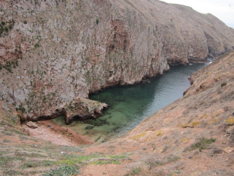 Berlengas- Peniche
