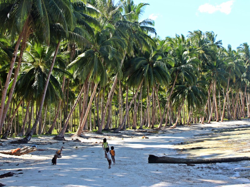 AMANTES DE VIAGENS