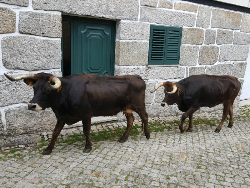 Portugal