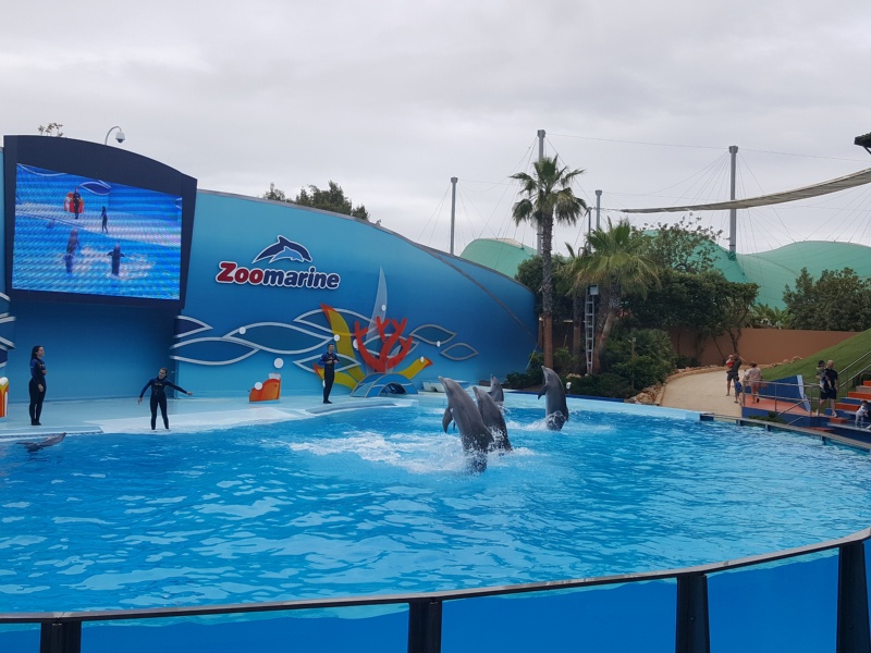 Actividades com crianças no Algarve