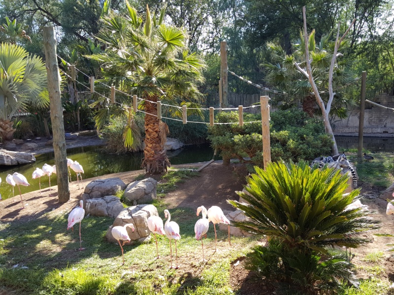 5 passeios pela Africa do Sul