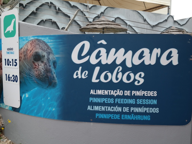 Albufeira- Portugal